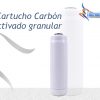 a.2.2cartucho carbon activado granular